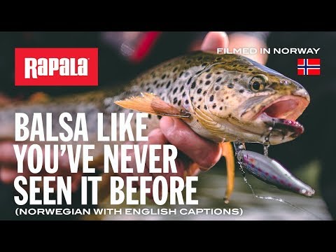 Rapala BX Minnow 7 cm