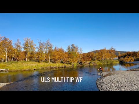 Guideline ULS Multi Tip Fliegenschnur