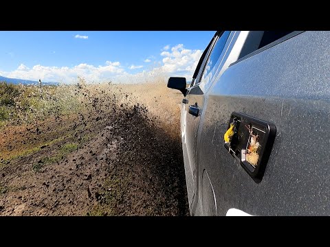 Cling Mag Grab Delta Dry Fly Magnetischer Fliegen- und Universalhalter