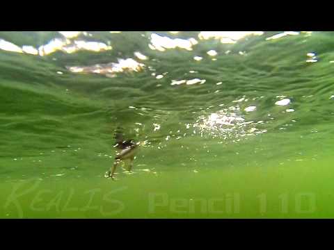 Duo Realis Pencil 110