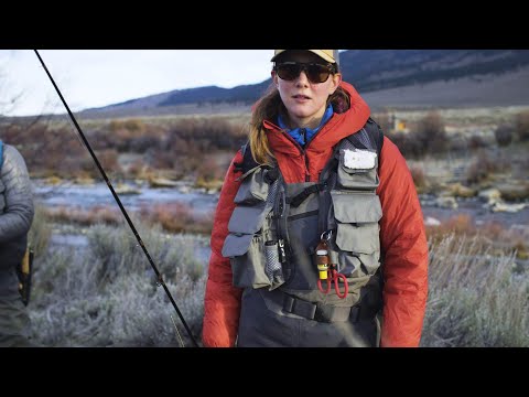 Patagonia Stealth Pack Vest Weste BSNG