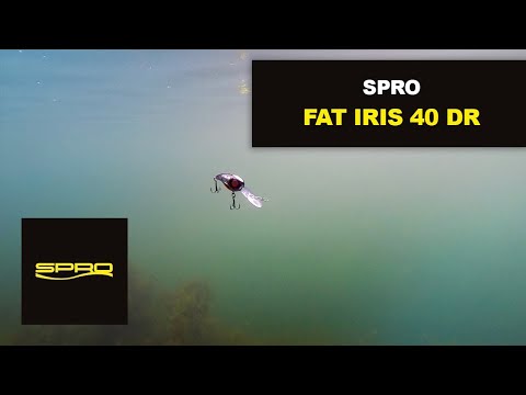 Gamakatsu Spro Crankbait Wobbler Fat Iris Hardlure 4 cm 6,2 g Deep Runner Slow Floating