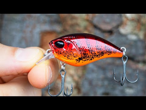Duo Realis Mid Roller 40F