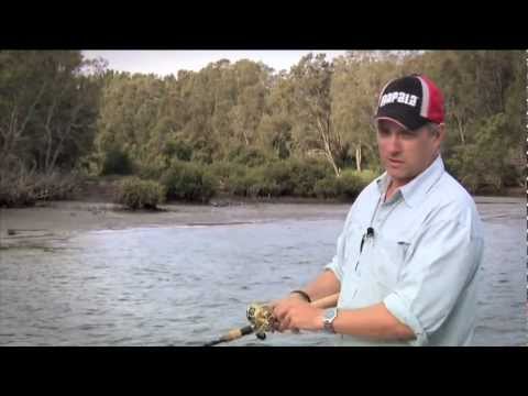 Rapala X-Rap Jointed Shad 13 cm