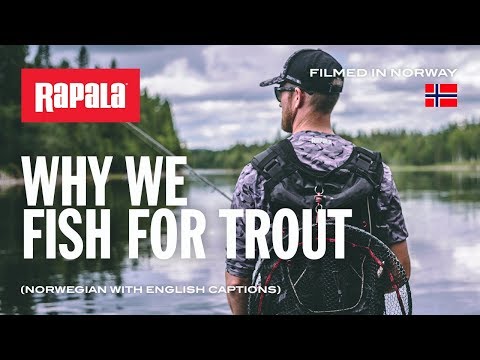 Rapala Countdown 7 cm
