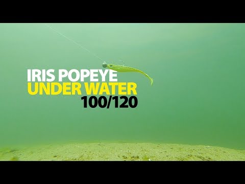 Spro Iris Pop-Eye Softlures To Go 2er Set 10 cm