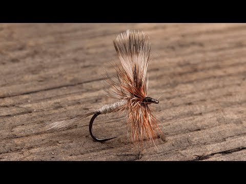 Ahrex FW500 Dry Fly Traditional Trockenfliegen Haken