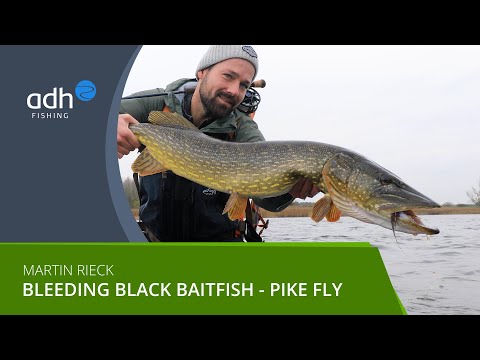 adh-fishing Hechtstreamer - Fibre Baitfish Bleeding Black