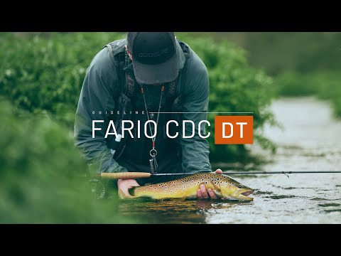 Guideline Fario CDC DT Fliegenschnur