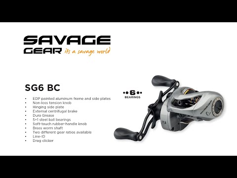 Savage Gear Baitcaster SG 6 250 LH