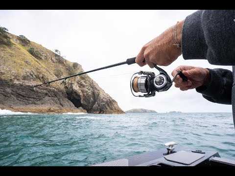 Daiwa Certate-G LT Spinnrolle