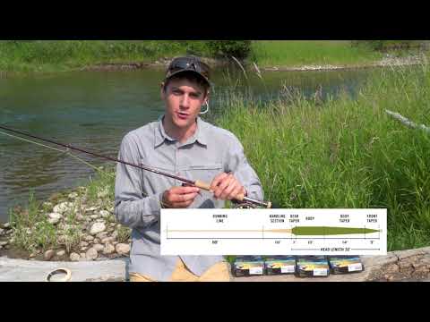 Rio DirectCore Jungle Line Fliegenschnur Floating/Sink6