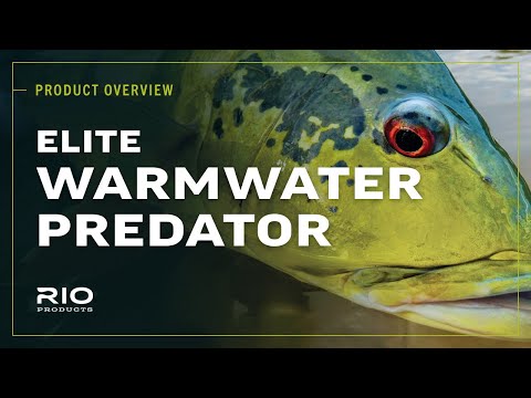 Rio Elite Warmwater Predator Floating Intermediate Sink 3