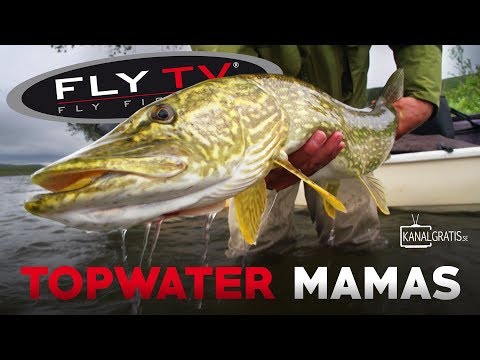 Wapsi Large Foam Cylinders für Popper, Diver und Big Flies sandable