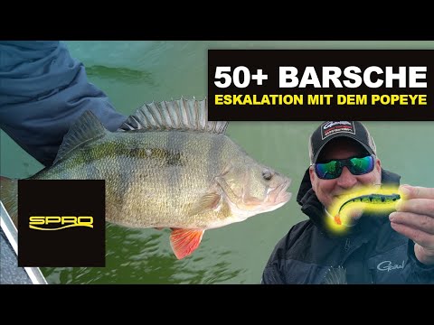 Spro Iris Pop-Eye Softlures To Go 2er Set 8 cm
