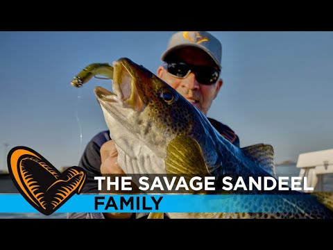 Savage Gear Sandeel Sandaal Gummiköder 13 cm 31 g