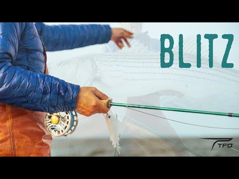 TFO Blitz Saltwater Fliegenrute