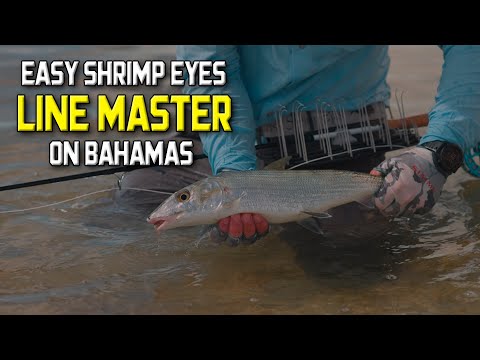 Easy Shrimp Eyes Line Master Schnurkorb