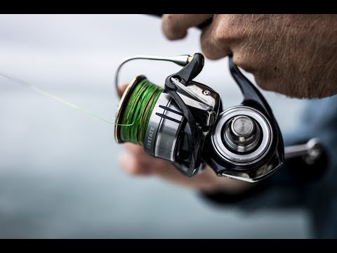 Daiwa Certate-G LT Spinnrolle