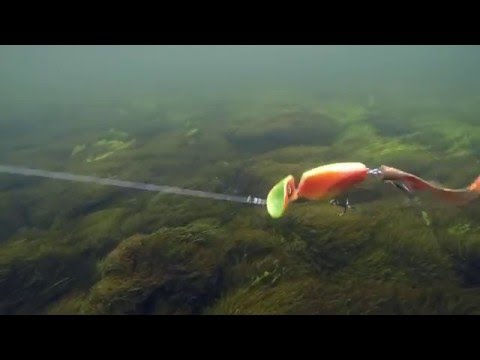 Headbanger Tail Floating 23 cm
