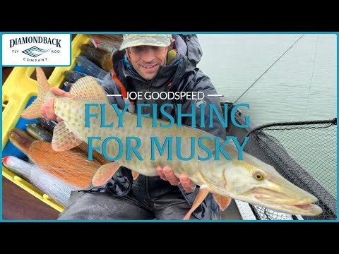 Diamondback Universal Predator Distance Fliegenrute