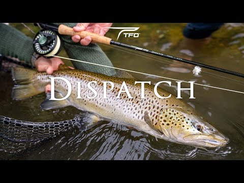 TFO Dispatch Trout Fliegenrutenset mit Transportrohr