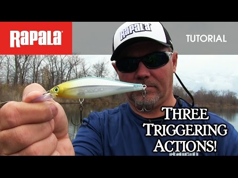 Rapala Shadow Rap Shad 9 cm