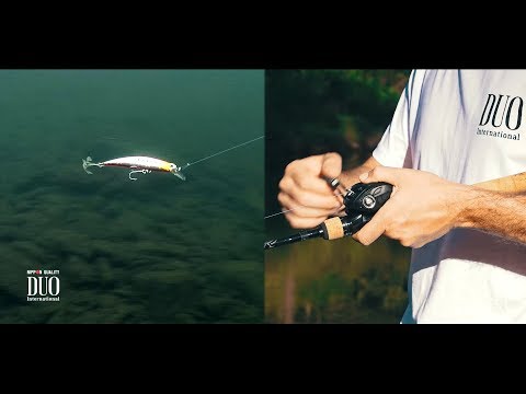 Duo Spearhead Ryuki 80S