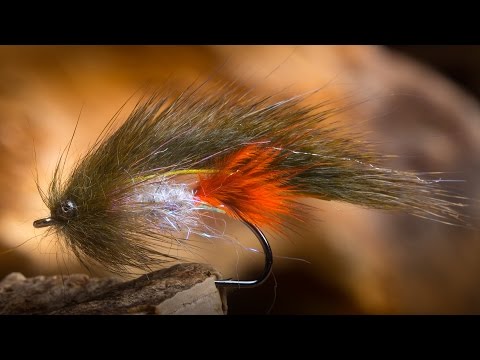 Ahrex NS156 Traditional Shrimp Haken