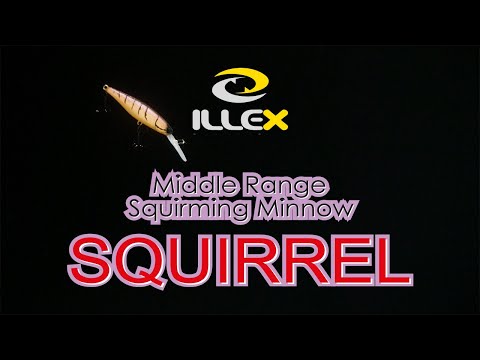 Illex Super DD Squirrel 79SP Suspending Deep Hardbait