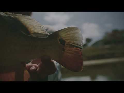 13 Fishing Origin R1 LH Baitcastrolle